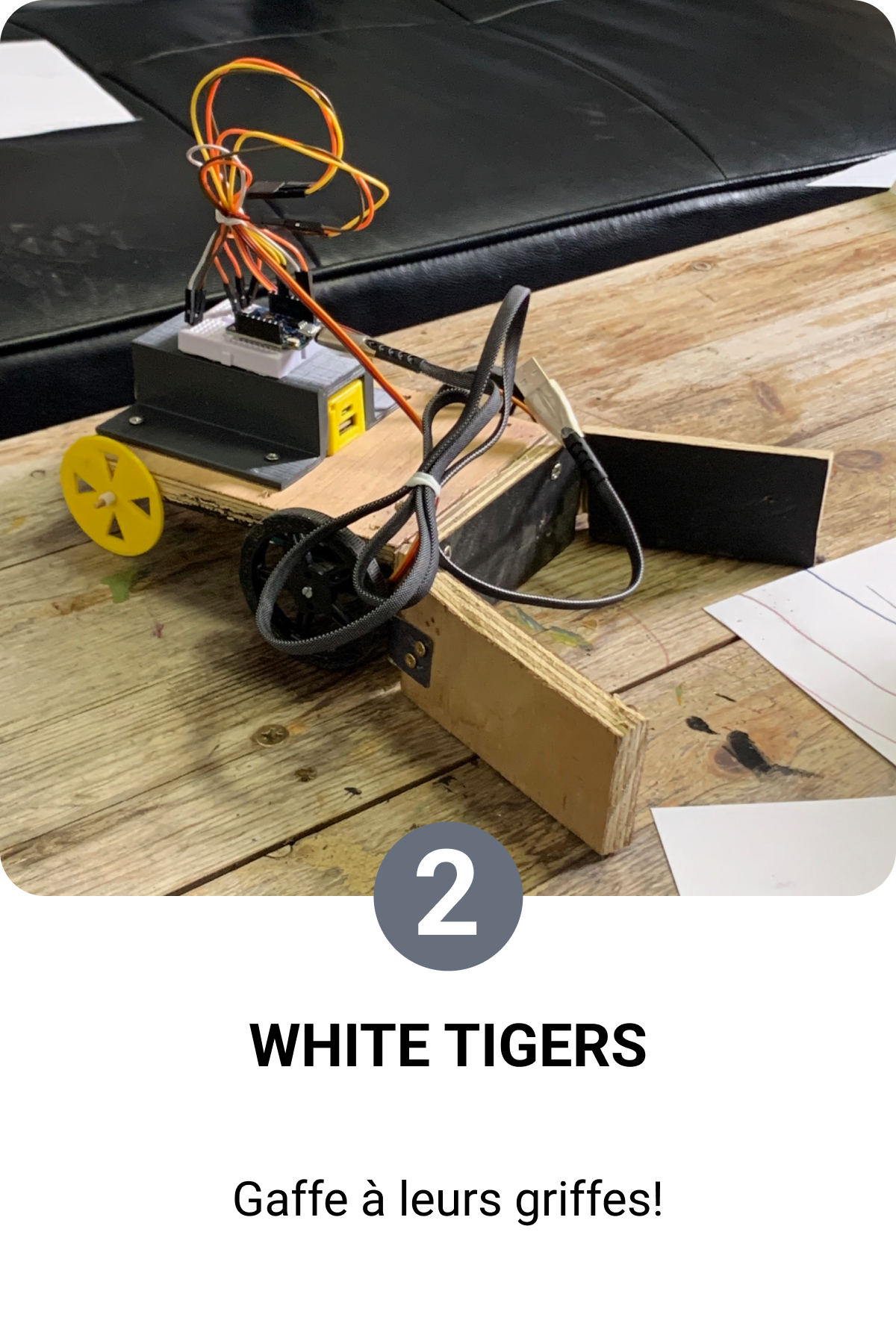 white tigers de robots sportifs