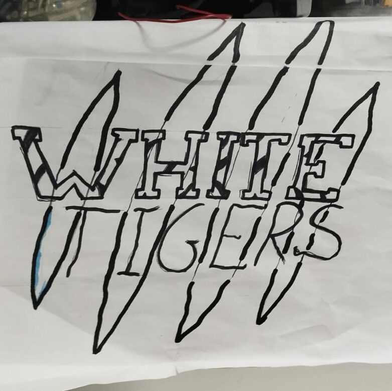 white tigers